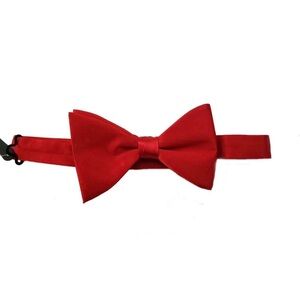 Zara Red Silk Bow Tie